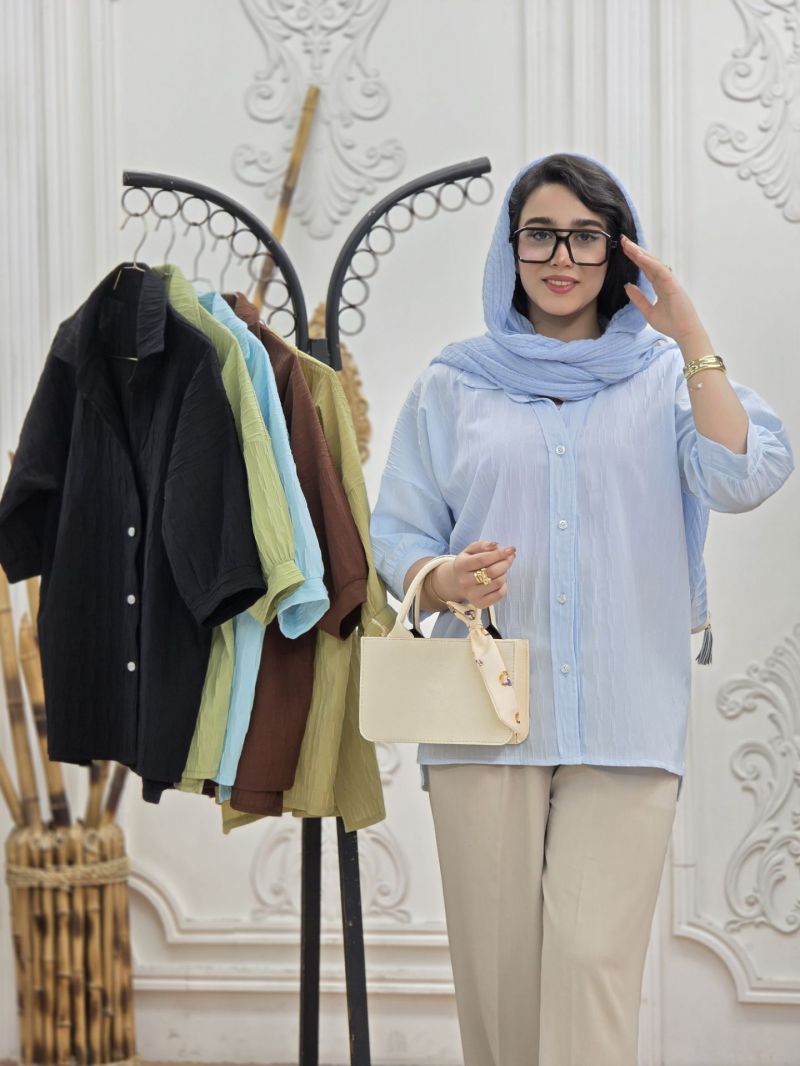 شومیز آیوا درشت پشت بلند